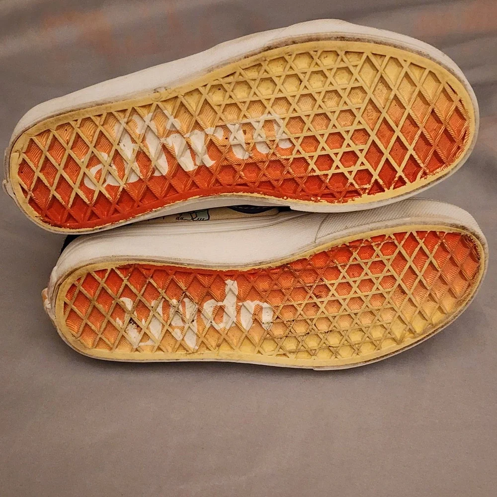 Vans stylish sk8